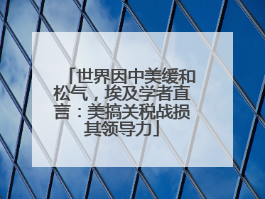 世界因中美缓和松气，埃及学者直言：美搞关税战损其领导力