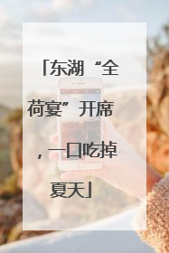 东湖“全荷宴”开席，一口吃掉夏天