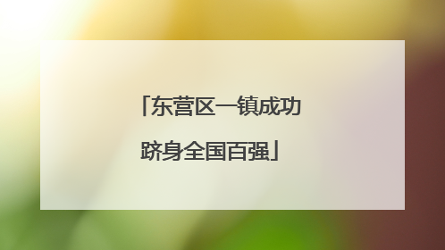 东营区一镇成功跻身全国百强