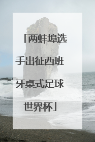 两蚌埠选手出征西班牙桌式足球世界杯