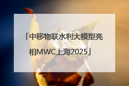 中移物联水利大模型亮相MWC上海2025