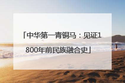 中华第一青铜马：见证1800年前民族融合史