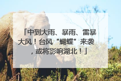 中到大雨、暴雨、雷暴大风！台风“蝴蝶”来袭，或将影响湖北！