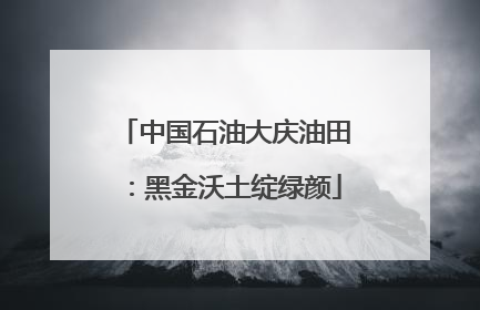 中国石油大庆油田：黑金沃土绽绿颜