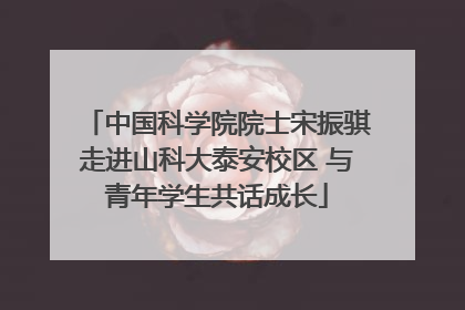 中国科学院院士宋振骐走进山科大泰安校区 与青年学生共话成长