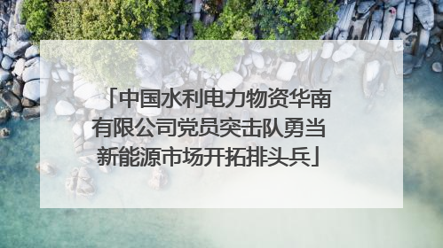 中国水利电力物资华南有限公司党员突击队勇当新能源市场开拓排头兵