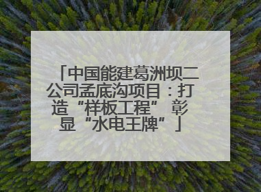 中国能建葛洲坝二公司孟底沟项目：打造“样板工程” 彰显“水电王牌”