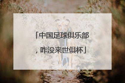 中国足球俱乐部，咋没来世俱杯