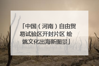 中国（河南）自由贸易试验区开封片区 绘就文化出海新图景