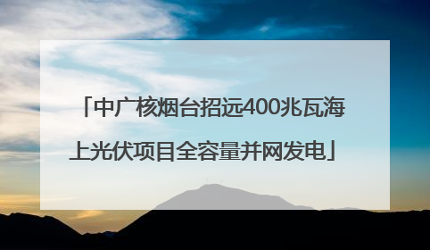 中广核烟台招远400兆瓦海上光伏项目全容量并网发电