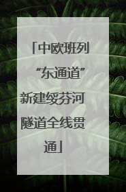 中欧班列“东通道”新建绥芬河隧道全线贯通