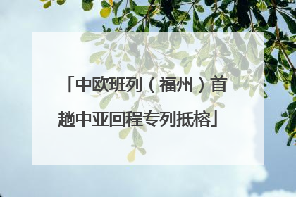 中欧班列（福州）首趟中亚回程专列抵榕