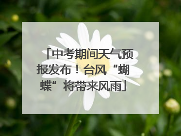 中考期间天气预报发布！台风“蝴蝶”将带来风雨