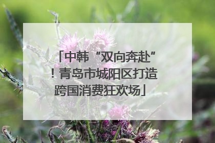 中韩“双向奔赴”！青岛市城阳区打造跨国消费狂欢场
