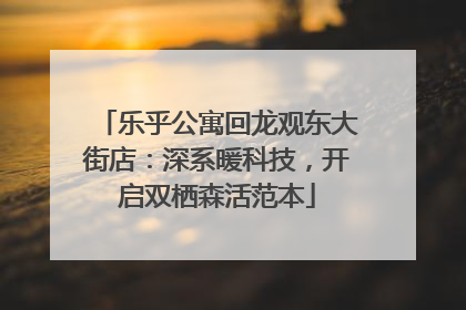 乐乎公寓回龙观东大街店：深系暖科技，开启双栖森活范本
