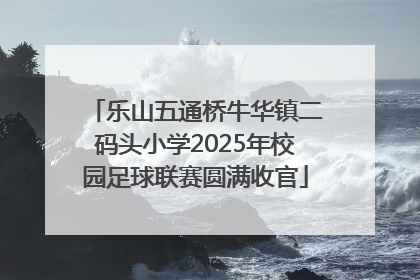 乐山五通桥牛华镇二码头小学2025年校园足球联赛圆满收官