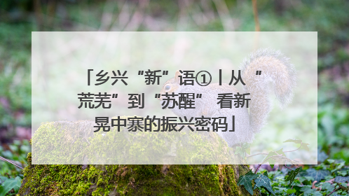 乡兴“新”语①丨从“荒芜”到“苏醒” 看新晃中寨的振兴密码