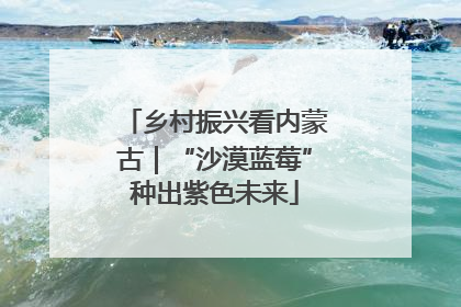 乡村振兴看内蒙古｜“沙漠蓝莓”种出紫色未来