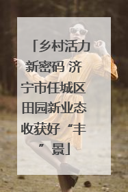 乡村活力新密码 济宁市任城区田园新业态收获好“丰”景