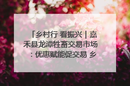 乡村行 看振兴｜嘉禾县龙潭牲畜交易市场：优惠赋能促交易 乡村振兴添动能