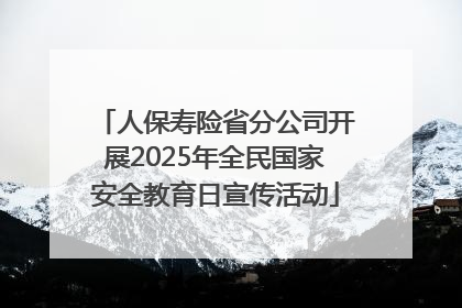 人保寿险省分公司开展2025年全民国家安全教育日宣传活动