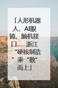 人形机器人、AI眼镜、脑机接口……浙江“硬核制造”乘“数”而上