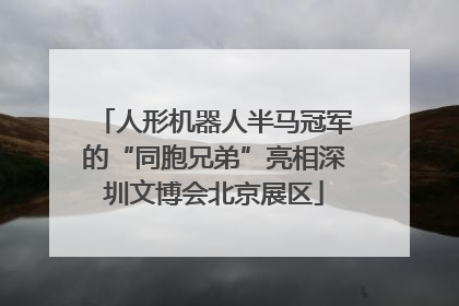 人形机器人半马冠军的“同胞兄弟”亮相深圳文博会北京展区