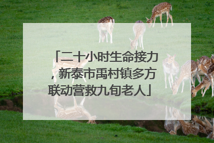 二十小时生命接力，新泰市禹村镇多方联动营救九旬老人
