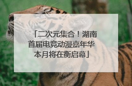 二次元集合！湖南首届电竞动漫嘉年华本月将在衡启幕