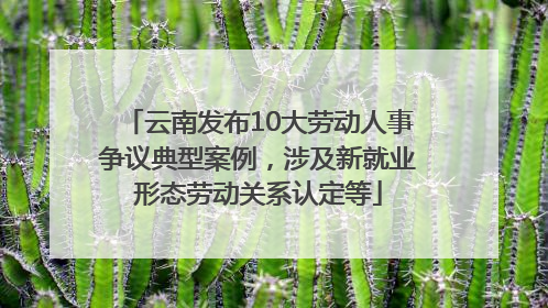 云南发布10大劳动人事争议典型案例，涉及新就业形态劳动关系认定等
