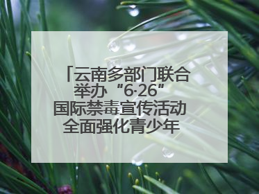 云南多部门联合举办“6·26”国际禁毒宣传活动 全面强化青少年防毒意识