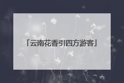 云南花香引四方游客