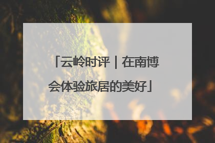 云岭时评｜在南博会体验旅居的美好