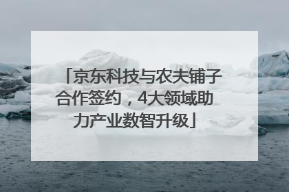 京东科技与农夫铺子合作签约，4大领域助力产业数智升级