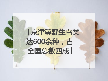 京津冀野生鸟类达600余种，占全国总数四成