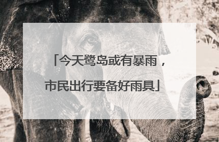 今天鹭岛或有暴雨，市民出行要备好雨具