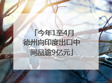 今年1至4月 德州向印度出口中间品逾9亿元