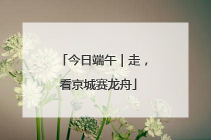今日端午｜走，看京城赛龙舟