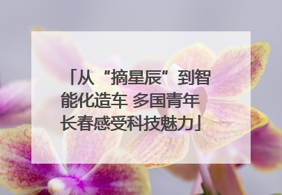从“摘星辰”到智能化造车 多国青年长春感受科技魅力