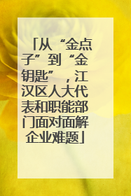 从“金点子”到“金钥匙”，江汉区人大代表和职能部门面对面解企业难题