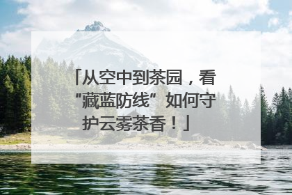 从空中到茶园，看“藏蓝防线”如何守护云雾茶香！