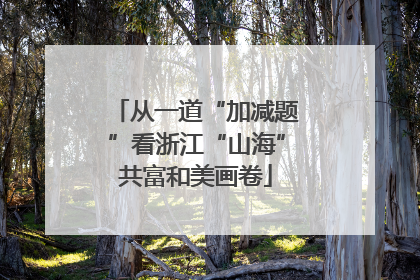 从一道“加减题”看浙江“山海”共富和美画卷