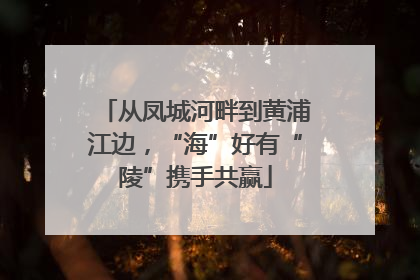 从凤城河畔到黄浦江边，“海”好有“陵”携手共赢