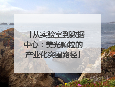 从实验室到数据中心：美光颗粒的产业化突围路径