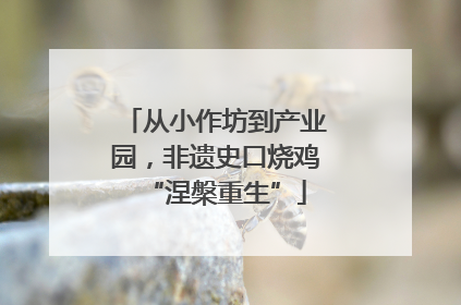 从小作坊到产业园，非遗史口烧鸡“涅槃重生”