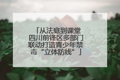 从法庭到课堂 四川前锋区多部门联动打造青少年禁毒“立体防线”