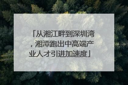 从湘江畔到深圳湾，湘潭跑出中高端产业人才引进加速度