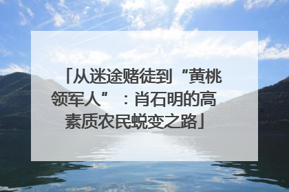 从迷途赌徒到“黄桃领军人”：肖石明的高素质农民蜕变之路