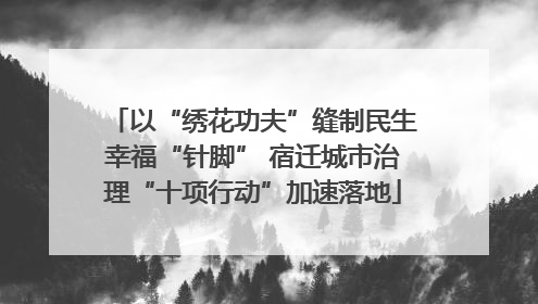以“绣花功夫”缝制民生幸福“针脚” 宿迁城市治理“十项行动”加速落地