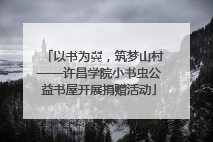 以书为翼，筑梦山村——许昌学院小书虫公益书屋开展捐赠活动
